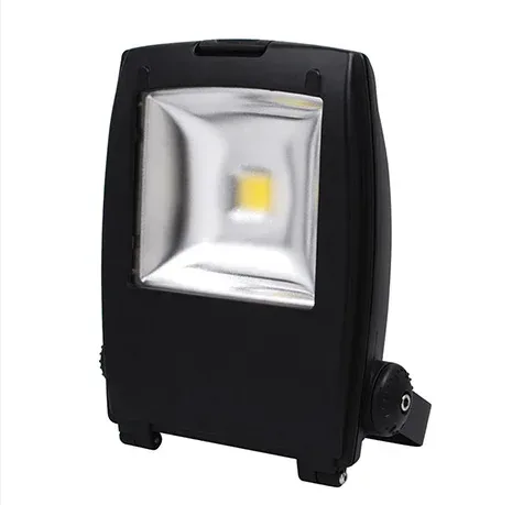 LED reflektor 30W Jaguar-30 HL 172L