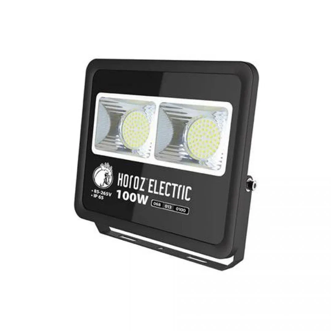 LED reflektor Lion-100 068-013-0100