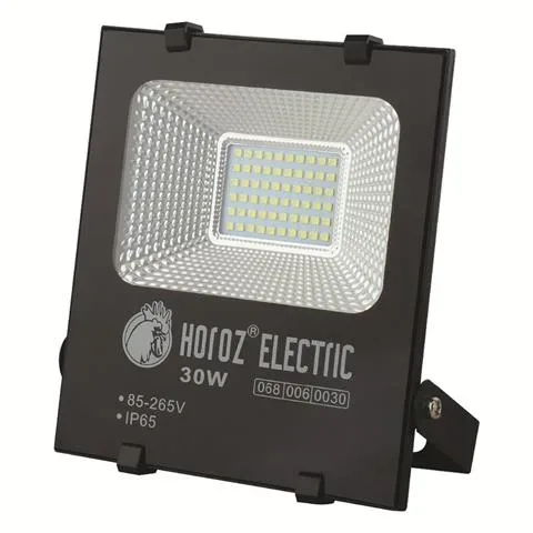 LED reflektor 30W Leopar-30